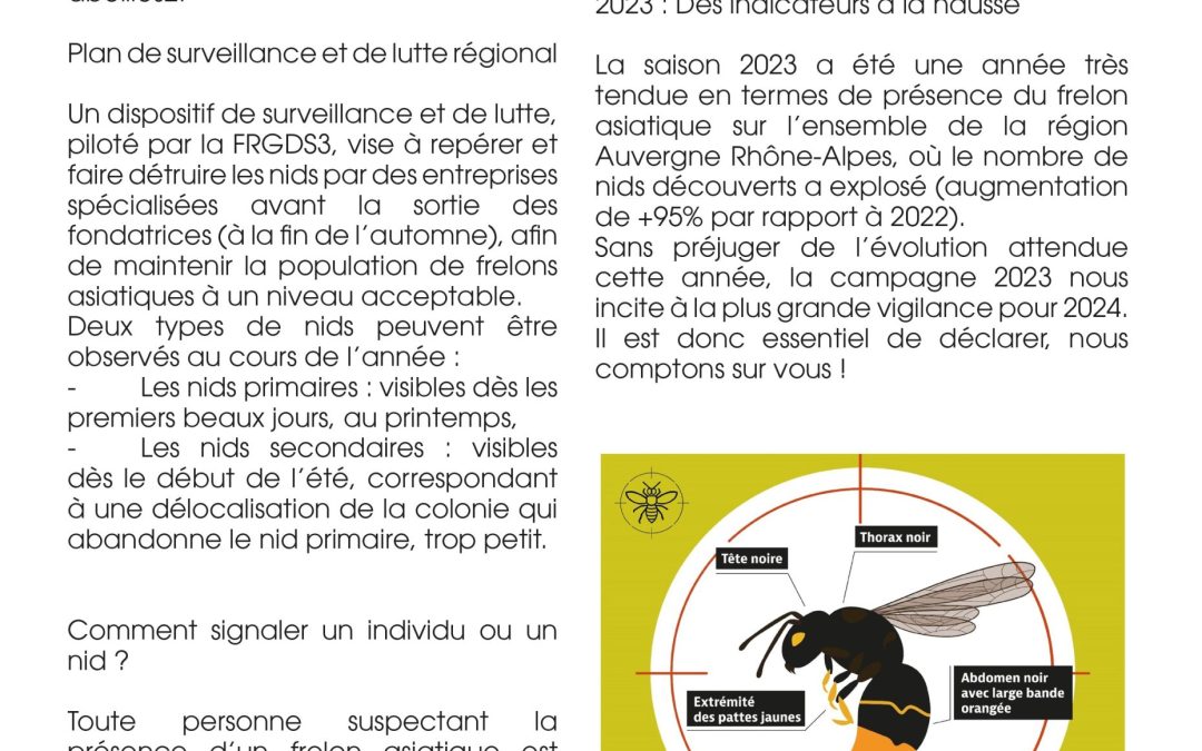 Signale ton frelon !
